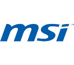 MSI